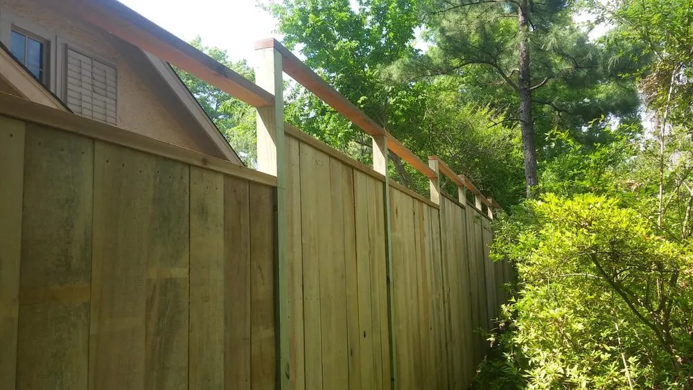 Expert yard cleanup service experts serving Memphis, TN - Story Works