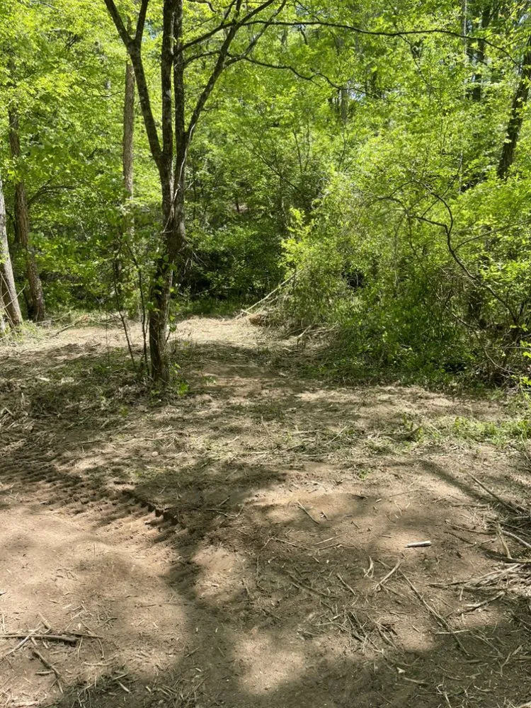 Reliable lawn care service experts serving Lenoir, NC - Story’s Land Management