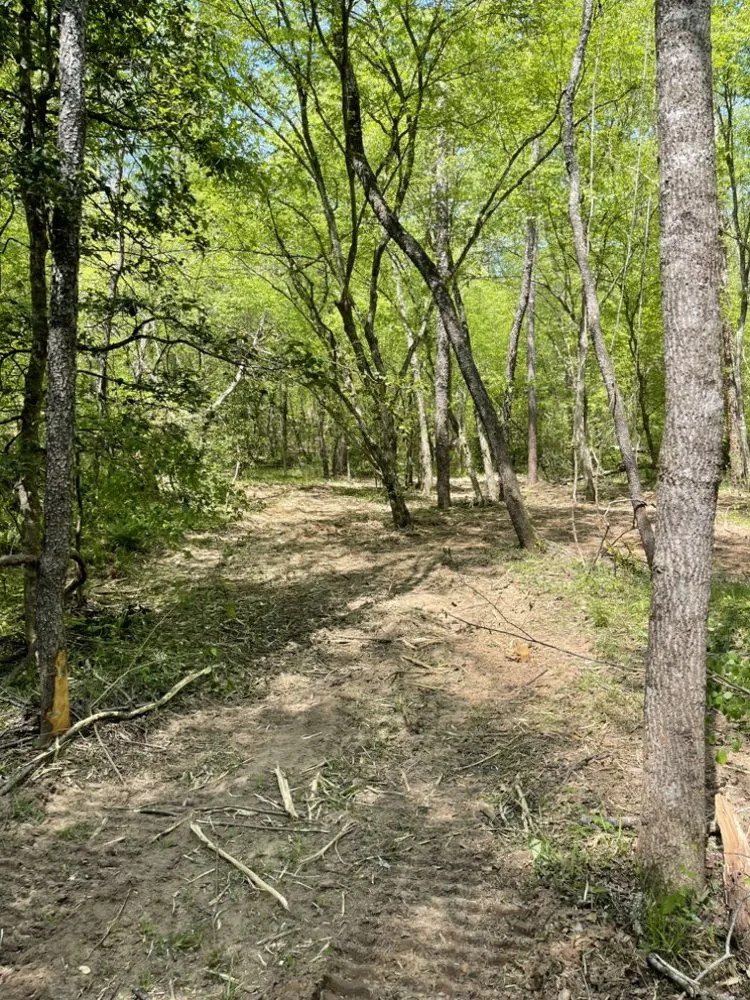 Professional yard maintenance near you in Lenoir, NC by Story’s Land Management