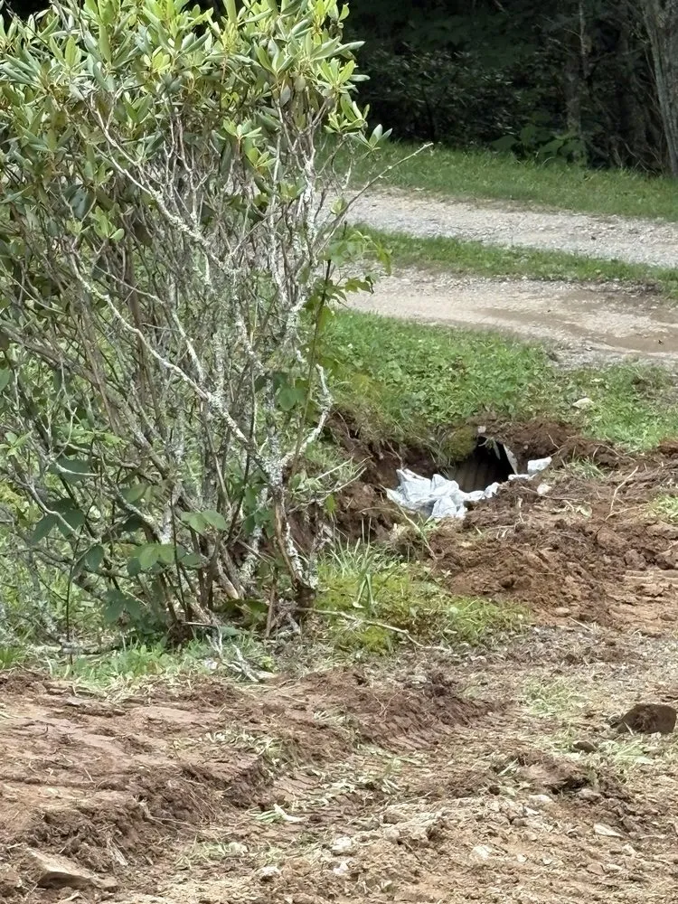Custom outdoor landscaping in Lenoir, NC by Story’s Land Management