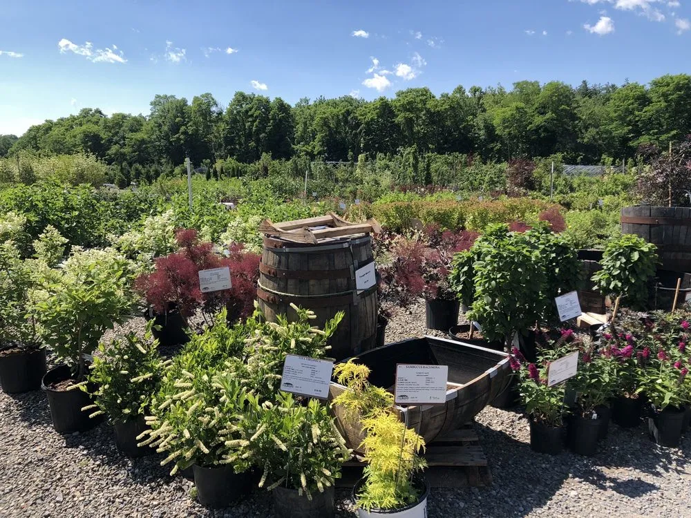Trusted landscape installation for beautiful yards in Freehold, NY by Story's Nursery