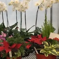Reliable garden landscaping in Freehold, NY by Story's Nursery