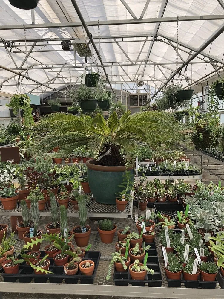 Top-rated outdoor landscaping for residential properties across Freehold, NY - Story's Nursery