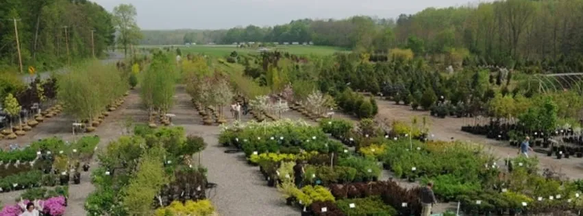 Local residential landscaping for year-round maintenance across Freehold, NY - Story's Nursery