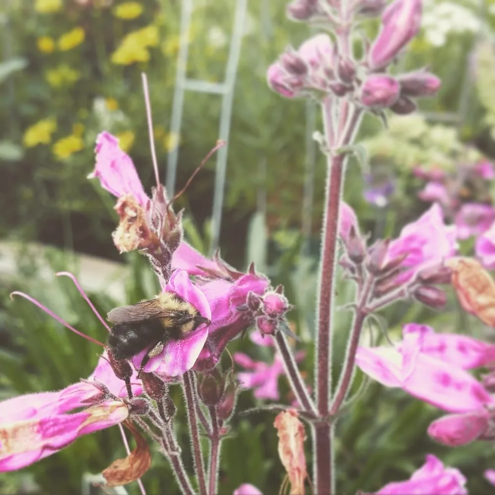Trusted garden landscaping in Freehold, NY - Story's Nursery