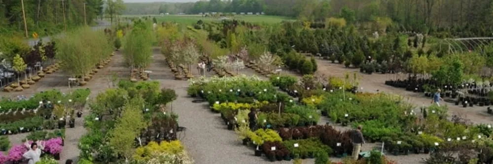 Trusted landscaping services in Freehold, NY - Story's Nursery