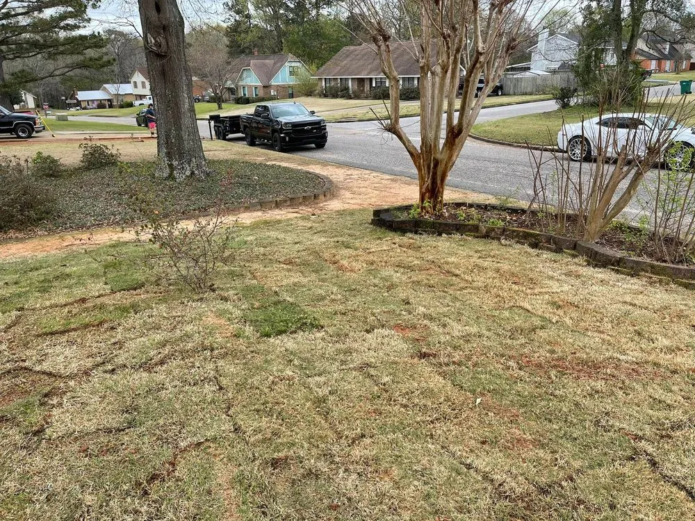 Affordable lawn mowing service in Millbrook, AL - Stoudemire Landscape and Irrigation