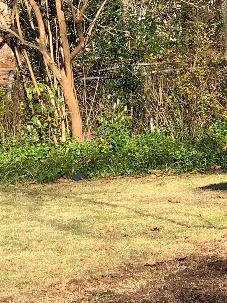 Local landscape installation in Millbrook, AL by Stoudemire Landscape and Irrigation