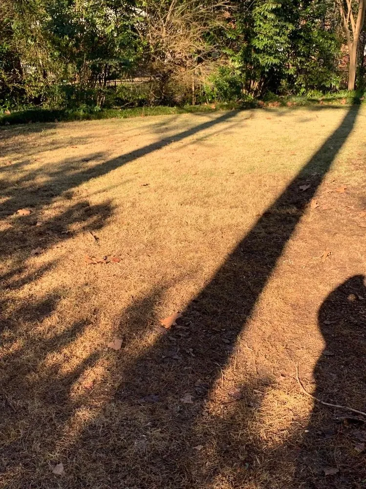 Affordable residential landscaping for year-round maintenance across Millbrook, AL - Stoudemire Landscape and Irrigation