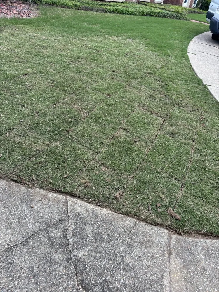 Local landscaping services experts serving Millbrook, AL - Stoudemire Landscape and Irrigation