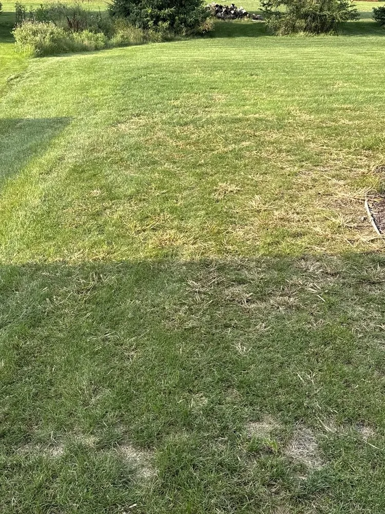 Reliable landscape installation in Belmont, MI by Stout Creek Landscapes