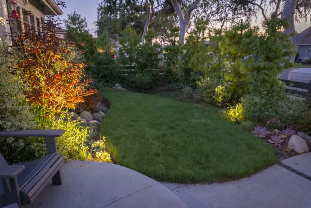 Custom yard cleanup service in Los Angeles, CA - Stout Design Build