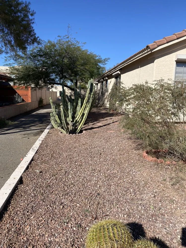 Custom lawn care service experts serving Tucson, AZ - Stout Professional Services SPS