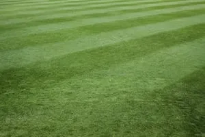 Local lawn care service experts serving Plymouth, MI - Stout's Property Maintenence