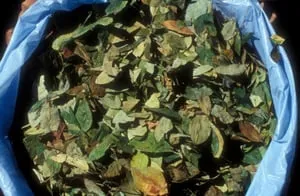 Top-rated landscape installation experts serving Plymouth, MI - Stout's Property Maintenence