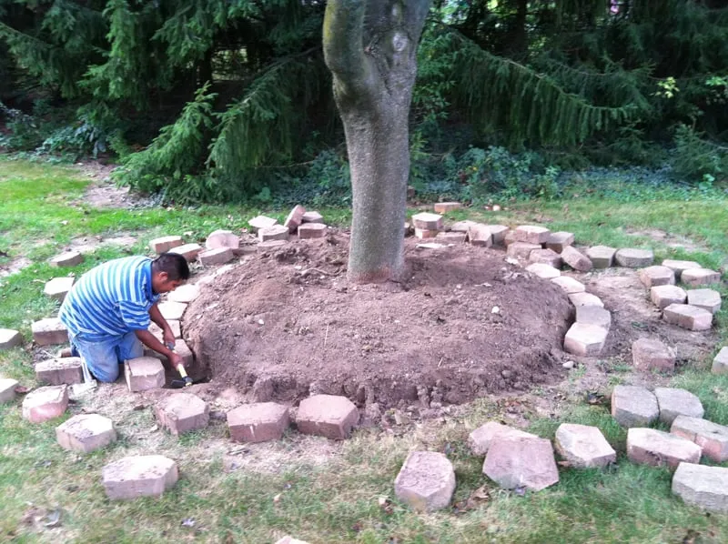 Affordable yard maintenance experts serving Plymouth, MI - Stout's Property Maintenence