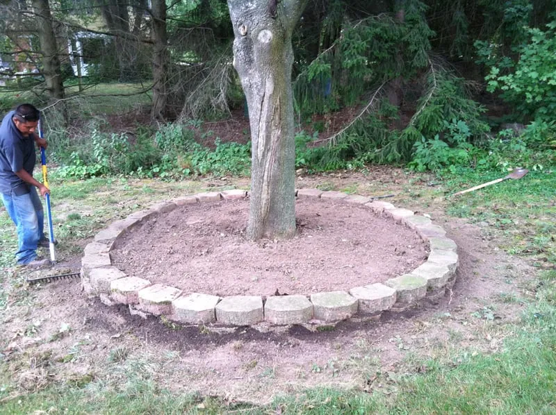 Reliable lawn care service for beautiful yards across Plymouth, MI - Stout's Property Maintenence