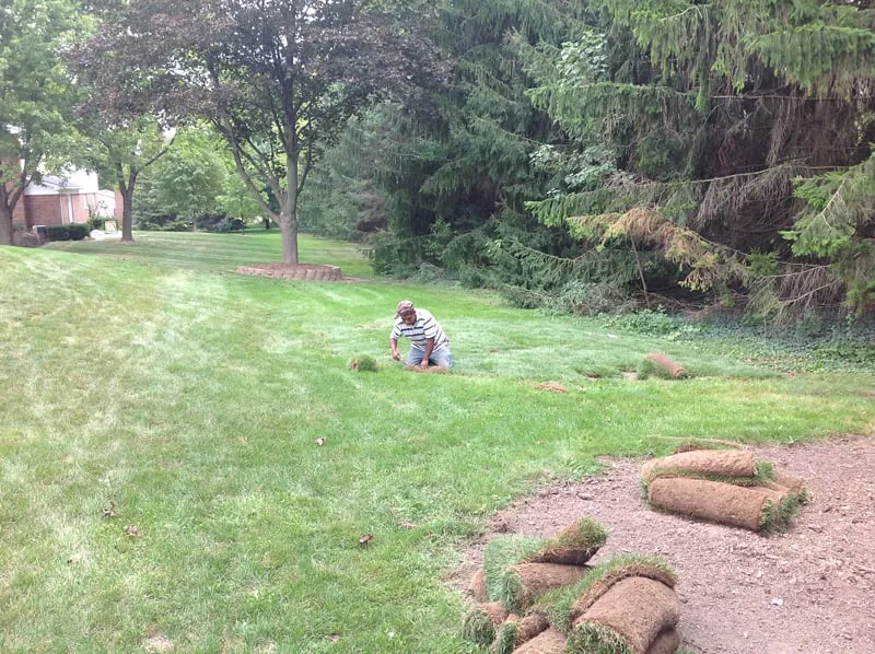 Local yard cleanup service in Plymouth, MI by Stout's Property Maintenence