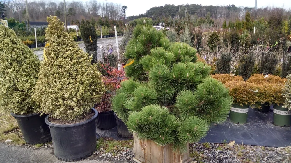 Local garden landscaping in Alpharetta, GA - Stovall Landscape Supply