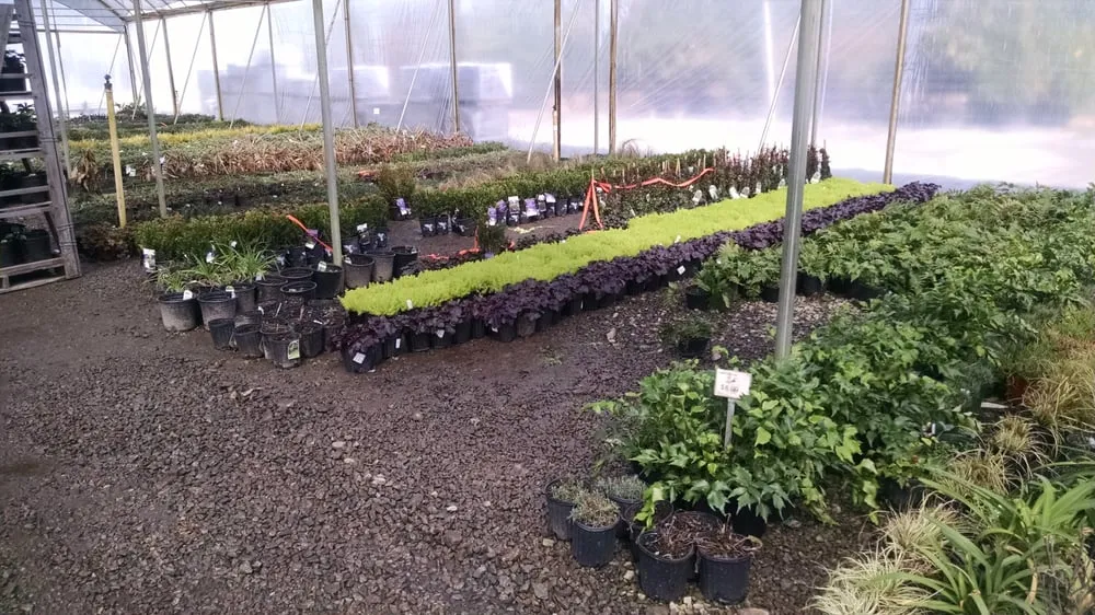 Top-rated landscape design with custom design in Alpharetta, GA by Stovall Landscape Supply