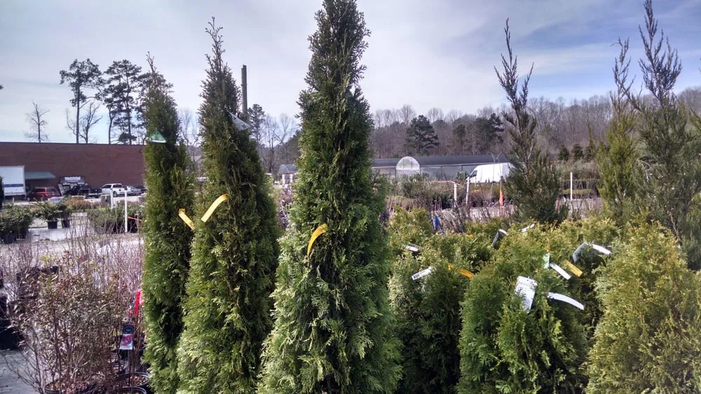 Expert lawn mowing service for year-round maintenance across Alpharetta, GA - Stovall Landscape Supply