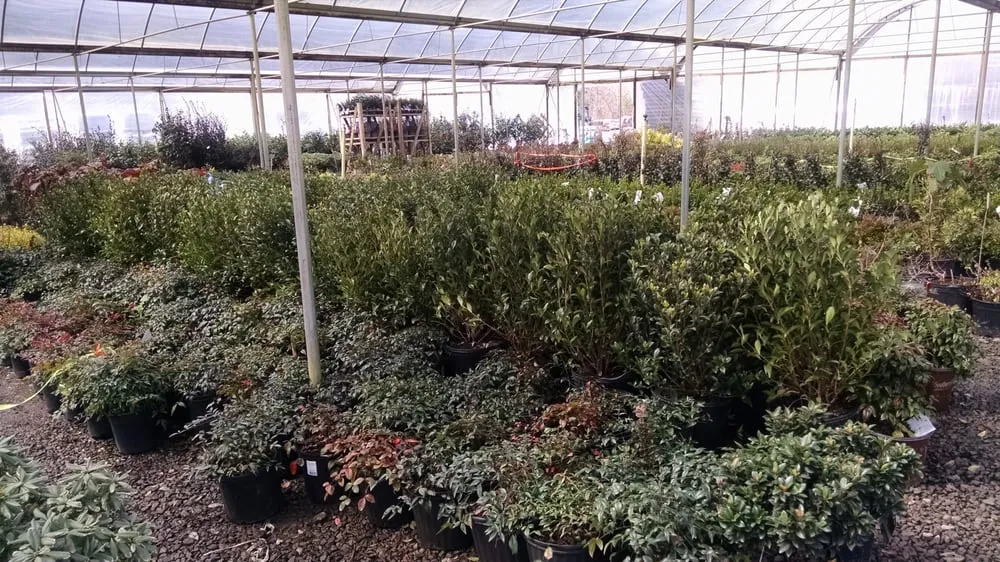 Expert landscaping services experts serving Alpharetta, GA - Stovall Landscape Supply