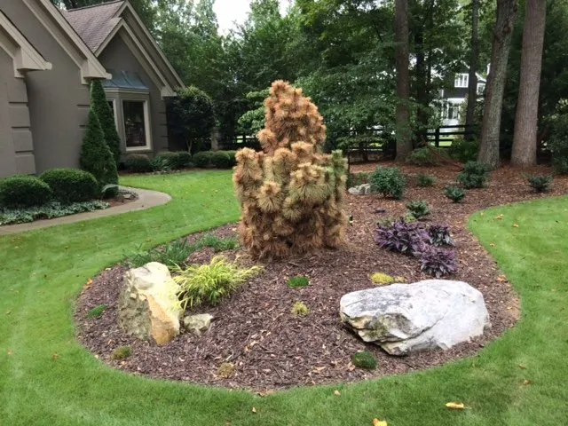 Custom landscape installation for year-round maintenance across Alpharetta, GA - Stovall Landscape Supply