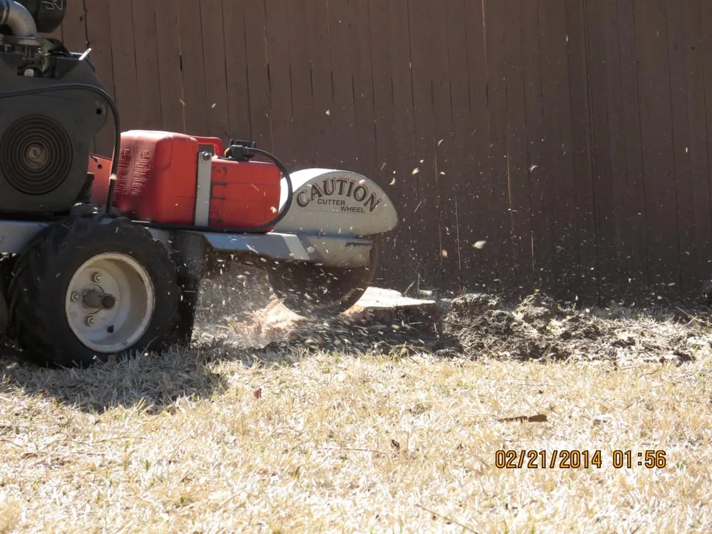 Expert yard maintenance for beautiful yards across Arlington, TX - Stovall Lawn Care