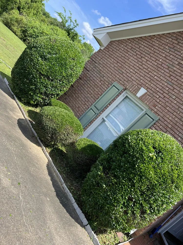 Expert residential landscaping for residential properties across Montgomery, AL - Stovall’s Lawn Care
