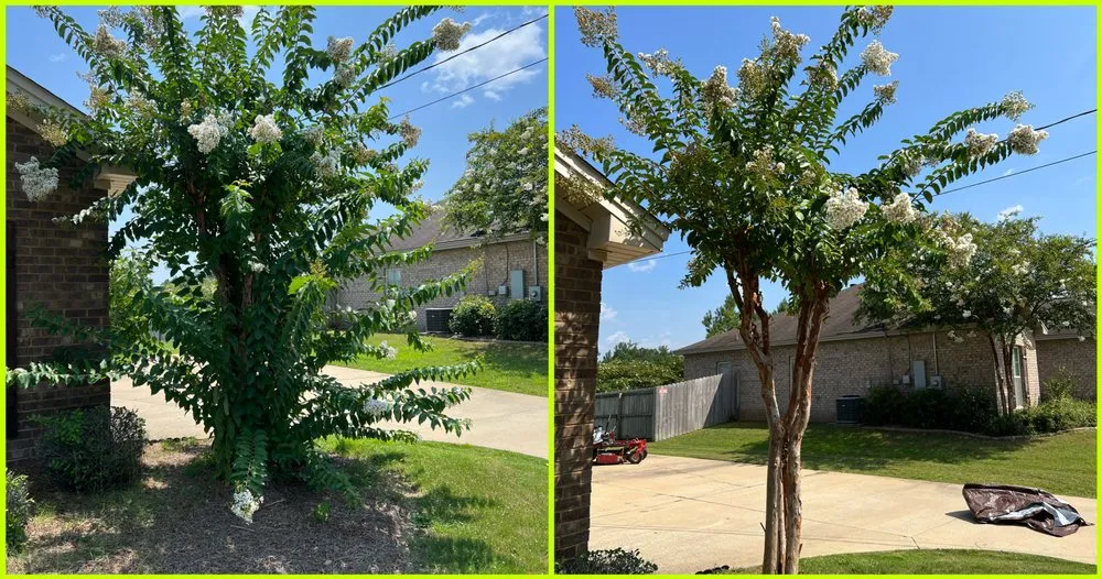 Professional garden landscaping for residential properties in Montgomery, AL by Stovall’s Lawn Care