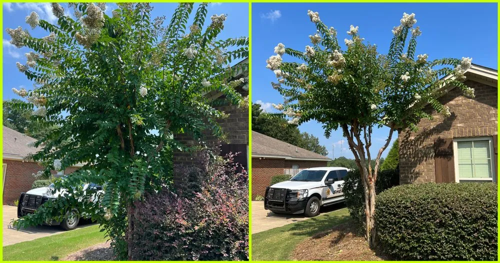 Affordable residential landscaping experts serving Montgomery, AL - Stovall’s Lawn Care
