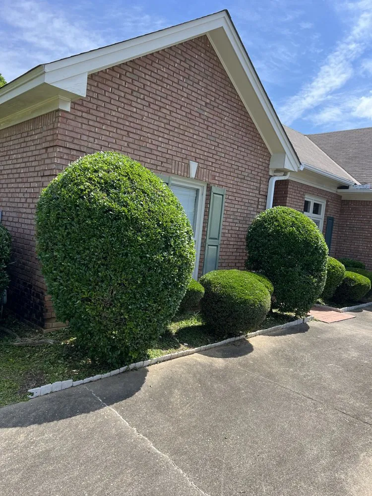 Top-rated lawn care service in Montgomery, AL - Stovall’s Lawn Care