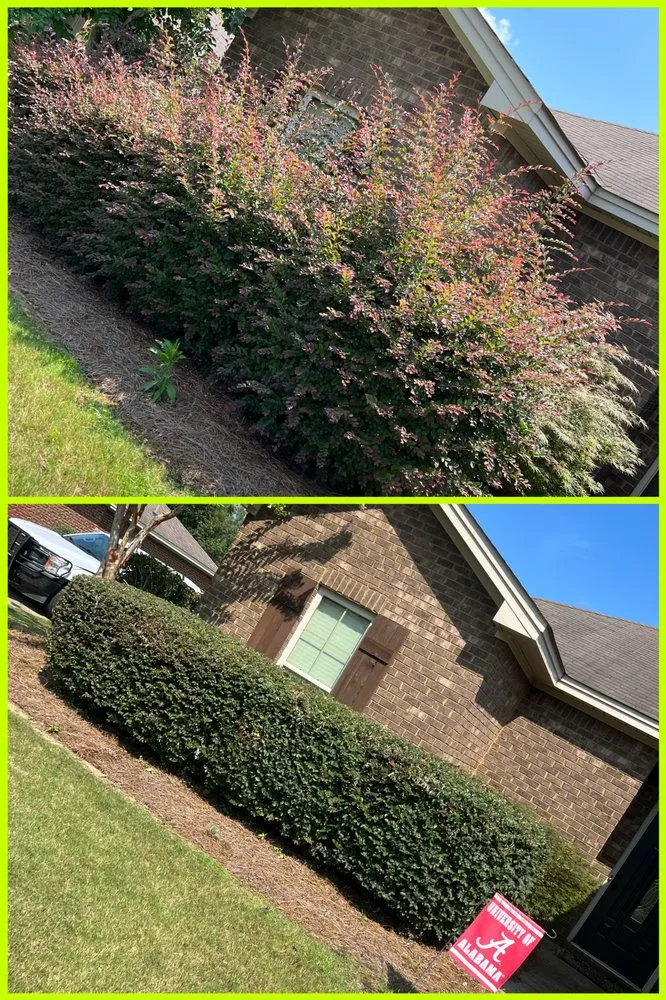 Expert landscaping services for outdoor upgrades across Montgomery, AL - Stovall’s Lawn Care