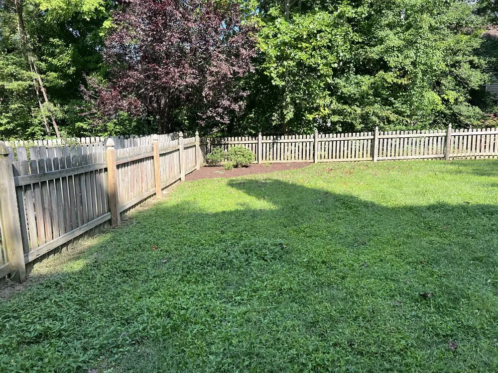 Expert lawn care service experts serving Gloucester, VA - Stover Holdings