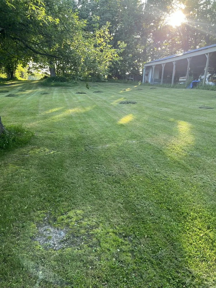 Professional landscaping services experts serving Laporte, MN - Stovers Landscaping