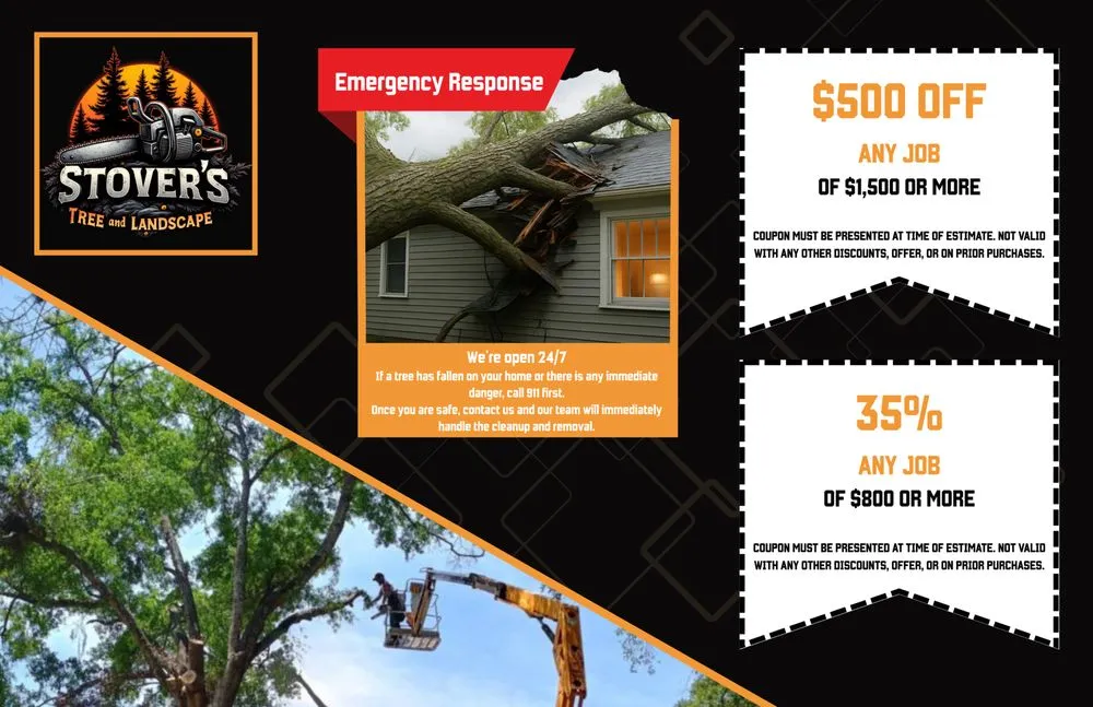 Local lawn mowing service with custom design in Wildwood, FL by Stover’s Tree And Landscape