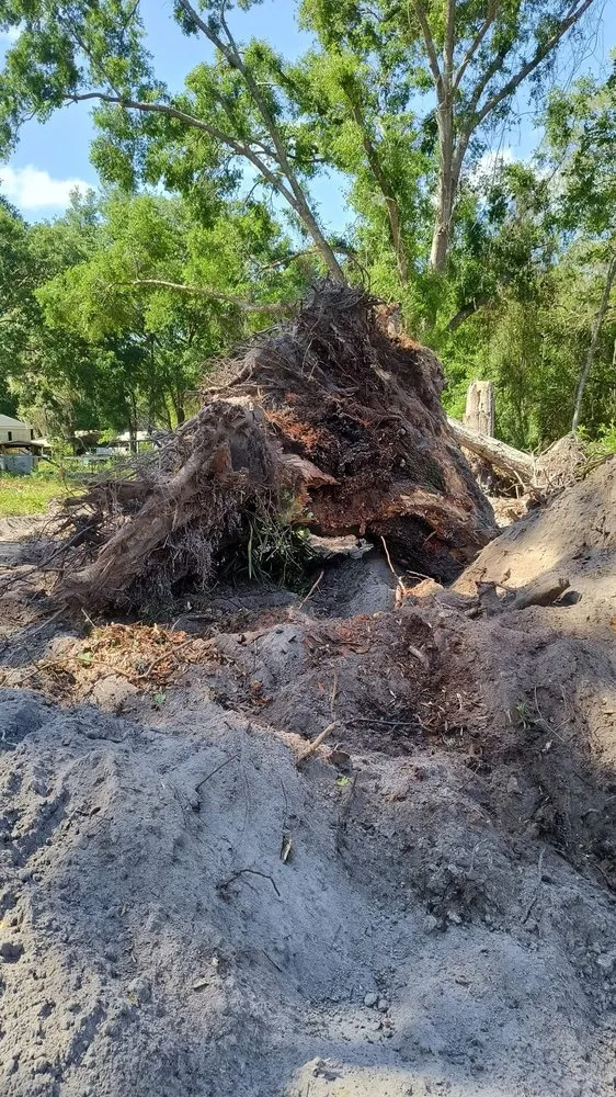 Top-rated residential landscaping experts serving Wildwood, FL - Stover’s Tree And Landscape