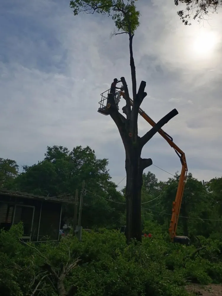 Expert garden landscaping experts serving Wildwood, FL - Stover’s Tree And Landscape