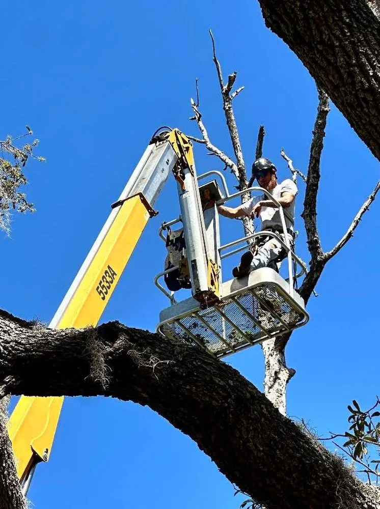 Trusted residential landscaping experts serving Wildwood, FL - Stover’s Tree And Landscape