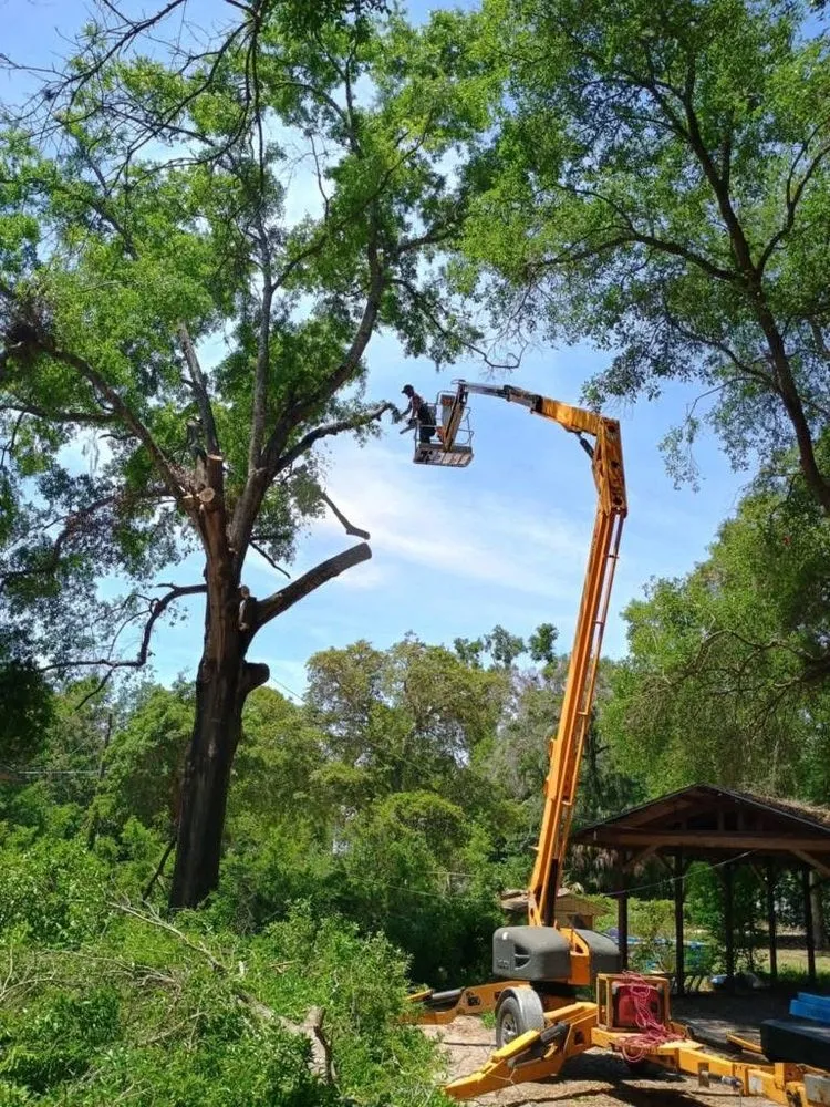 Local yard maintenance for beautiful yards across Wildwood, FL - Stover’s Tree And Landscape