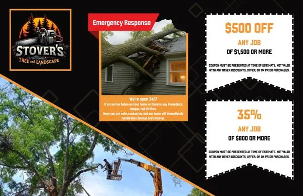 Stover’s Tree And Landscape