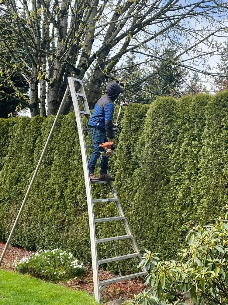 Affordable yard maintenance experts serving Vancouver, WA - Str8Green Lawn Maintenance