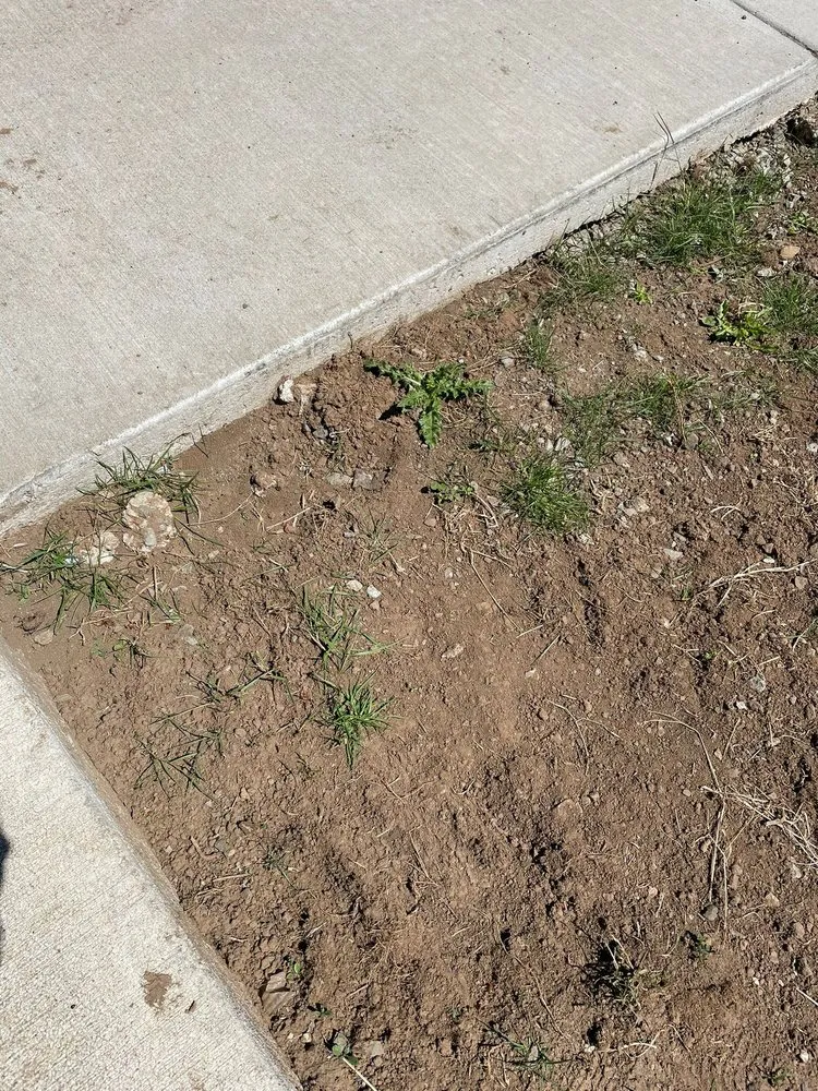 Local landscaping services in Vancouver, WA by Str8Green Lawn Maintenance