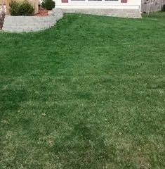 Affordable residential landscaping for year-round maintenance in Bates City, MO by Strader Lawn Service