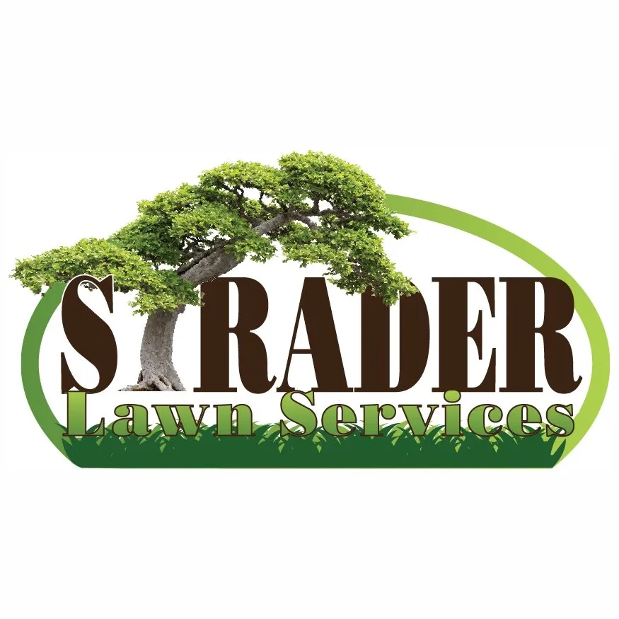 Expert residential landscaping for beautiful yards across Chesapeake, VA - Strader Lawn Services
