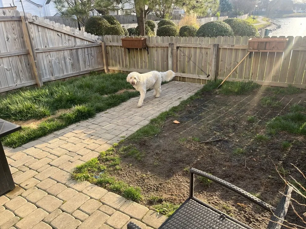 Top-rated outdoor landscaping in Chesapeake, VA - Strader Lawn Services