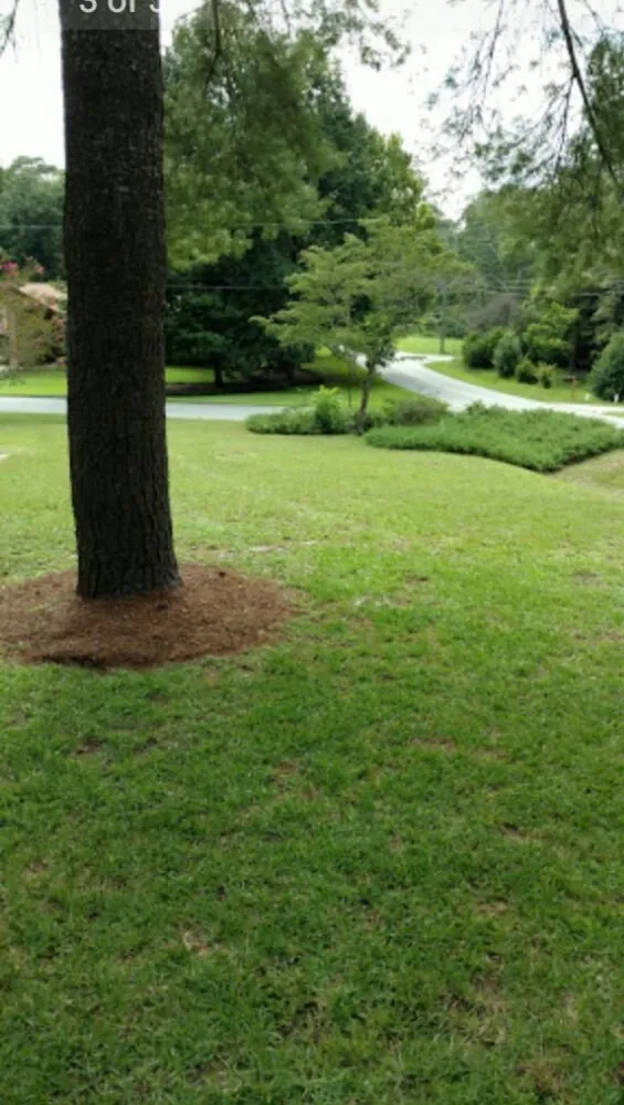 Expert landscape design with custom design in Warner Robins, GA by Straight A Landscaping