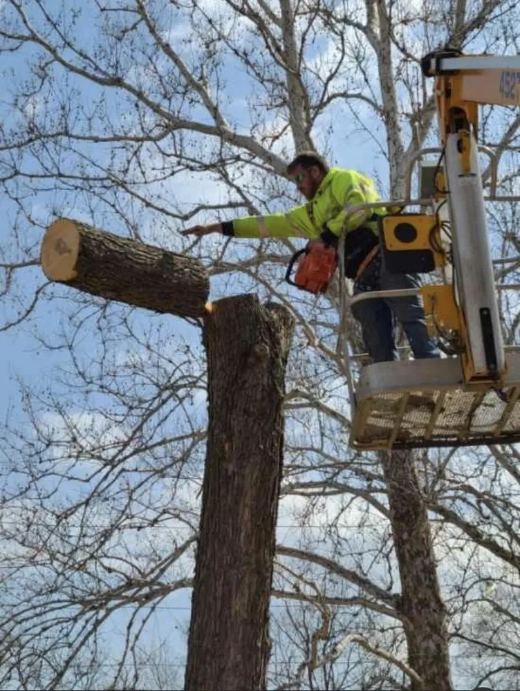 Professional residential landscaping for residential properties in Atchison, KS by Straight Cuts Landscaping