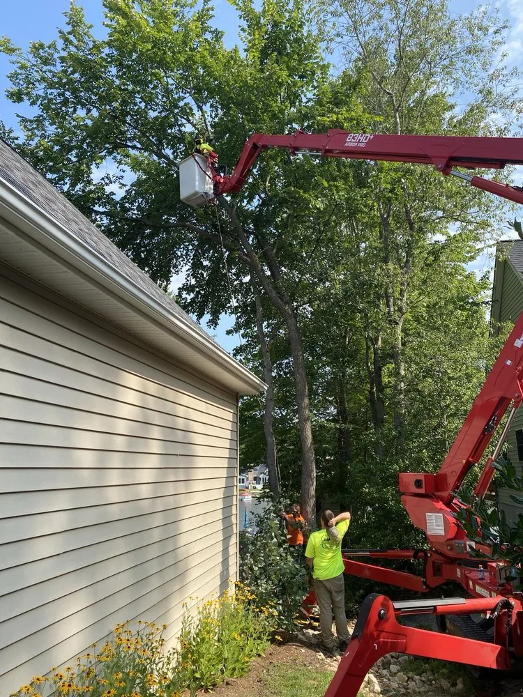 Expert landscape design in Ruther Glen, VA - Straight Cuts Tree & Lawn Care