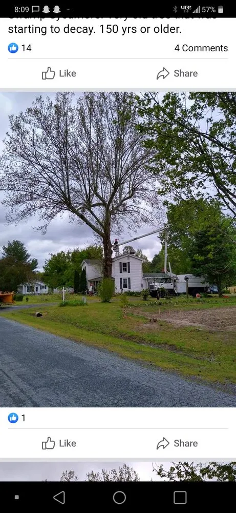 Custom landscape design experts serving Ruther Glen, VA - Straight Cuts Tree & Lawn Care